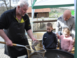 Městské sádky nabídnou velikonoční prodej ryb, podle tradic se právě ryba servírovala jako postní jídlo