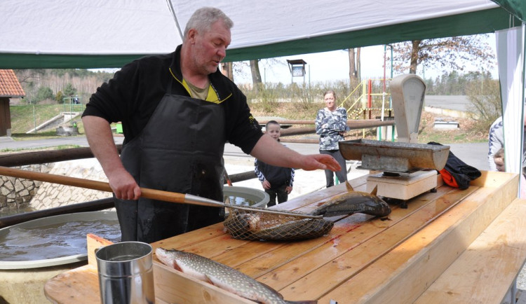 Městské sádky nabídnou velikonoční prodej ryb, podle tradic se právě ryba servírovala jako postní jídlo