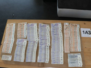 TOXI tým si spolu se zásahovkou došlápl na pěstitele marihuany, zabavili 1200 rostlin i samopal