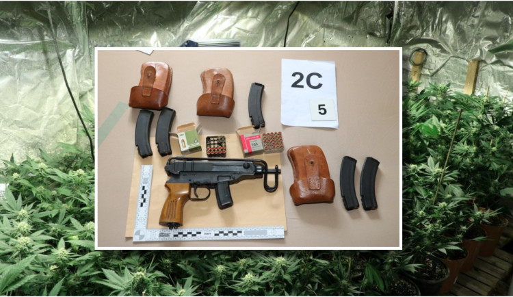 TOXI tým si spolu se zásahovkou došlápl na pěstitele marihuany, zabavili 1200 rostlin i samopal