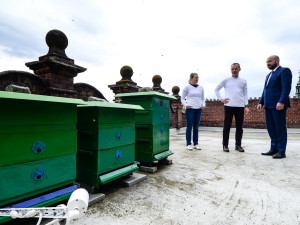 U instalace nového včelího úlu na střeše magistrátu asistoval i primátor Roman Zarzycký