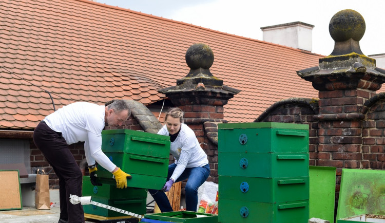 Pilných magistrátních včeliček je zase o něco více. Město na střechy svých budov instalovalo další včelí úly