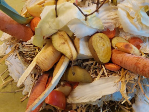 Dobroty pro medvědy