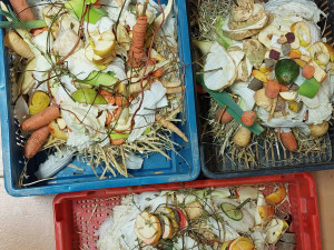 Dobroty pro medvědy