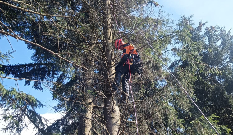 Hasiči zachraňovali paraglidistu. Uvízl za Ještědem ve větvích stromů