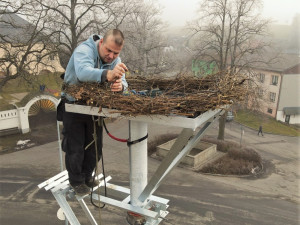 Instalace nového sloupu s hnízdní podložkou