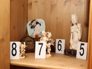 Celnici odhalili v Plzni dalšího obchodníka se slonovinou, cenné artefakty prodával přes internet