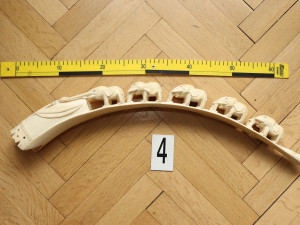 Celnici odhalili v Plzni dalšího obchodníka se slonovinou, cenné artefakty prodával přes internet