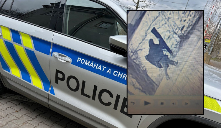 Několik střelných zbraní ukradl z jednoho domu zatím neznámý pachatel, teď po něm pátrá policie