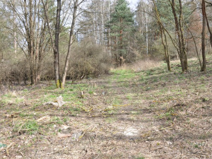 Radnice začíná stavět poslední úsek cyklostezky podél Vejprnického potoka, hotovo bude na začátku prázdnin