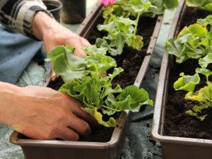 Nadcházející víkend bude v DEPO2015 patřit milovníkům zahrádek, kutilům a vynálezcům