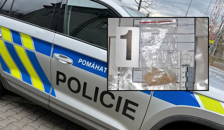 Dealerka u sebe měla pervitin