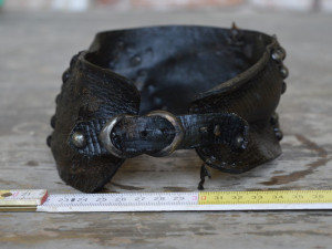 Nalezený psí obojek.