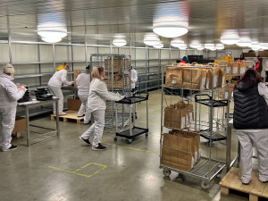 Nejlépe hodnocená krabičková dieta od NutritionPro nově i v Plzni