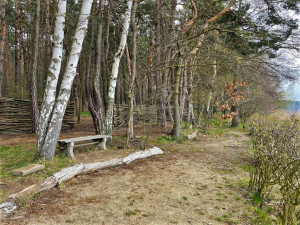 Nudisty na pláži u Velkého boleveckého rybníka schovají proutěné zástěny a poskytnou jim více soukromí