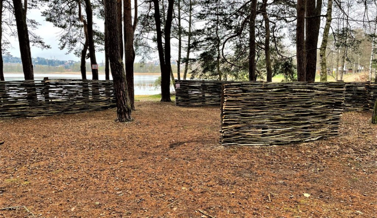 Nudisty na pláži u Velkého boleveckého rybníka schovají proutěné zástěny a poskytnou jim více soukromí