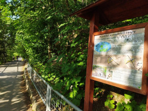 Množství odpadků kolem Boleveckých rybníků stále narůstá, náklady na úklid jdou do statisíců