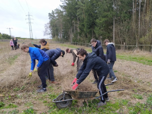 Množství odpadků kolem Boleveckých rybníků stále narůstá, náklady na úklid jdou do statisíců