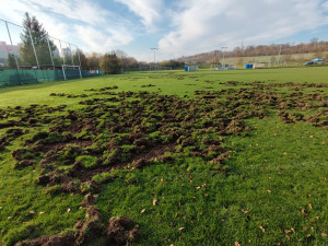 Město a první obvod poskytne fotbalistům čtyři miliony na obnovu hřiště rozrytého od divočáků