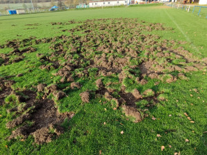 Město a první obvod poskytne fotbalistům čtyři miliony na obnovu hřiště rozrytého od divočáků