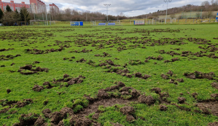 Město a první obvod poskytne fotbalistům čtyři miliony na obnovu hřiště rozrytého od divočáků