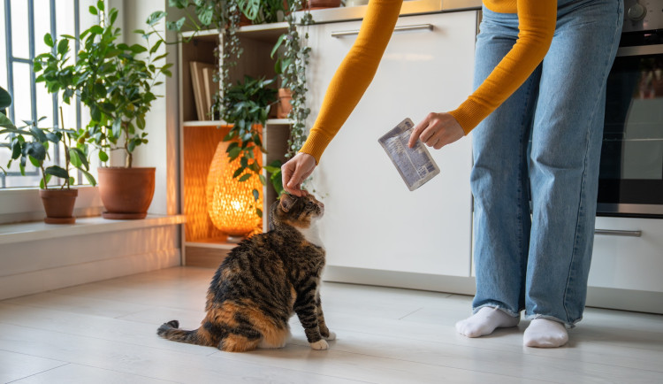 Copyright (c) 2023 DimaBerlin/Shutterstock.  No use without permission.