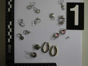 Zloděj se vkrádal do sklepů i šaten na základních školách, celkem napáchal škody za více než půl milionu