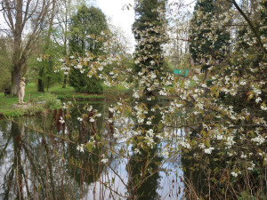 Málo známé a běžně nepřístupné oázy zeleně se na jeden den v měsíci otevřou veřejnosti