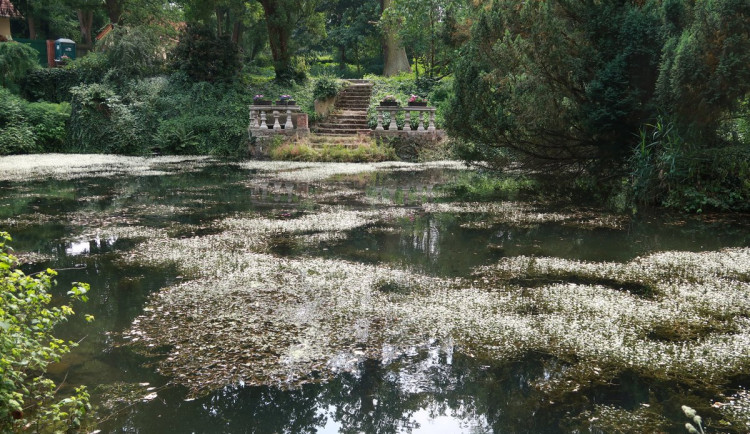 Málo známé a běžně nepřístupné oázy zeleně se na jeden den v měsíci otevřou veřejnosti