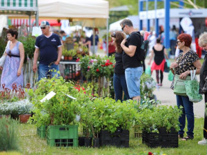 HOBBY slaví 30. narozeniny. Soutěžte s námi o dvě vstupenky