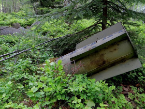 Armádní pyrotechnici se pustí do očisty Brd, práce budou probíhat nedaleko Padrťských plání