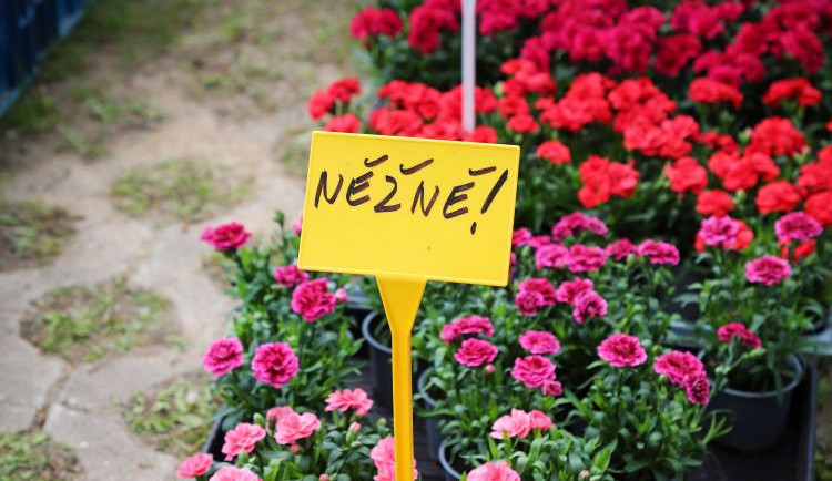 HOBBY slaví 30. narozeniny. Soutěžte s námi o dvě vstupenky