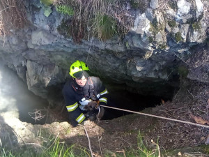 Ztracený pes skoro měsíc přežíval uvězněný ve štole, záchrana přišla čirou náhodou