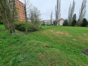 Více se zelení k relaxaci i herní prvky pro děti. Lidé z nejlidnatějšího obvodu promluvili do nové podoby Majakovského ulice