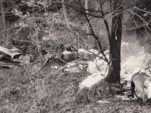 Trup vrtulníku se převrátil do potoka a částečně shořel, zdroj: Letecká badatelna