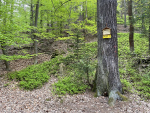 Včasný dojezd záchranářů pomohou zajistit body záchrany, lidé je najdou u boleveckých rybníků