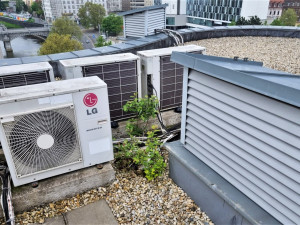 Divoká kachna si opět vybudovala hnízdo na střeše devítipatrové budovy v centru města