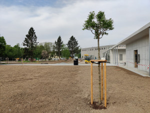 Obvod hledá nájemce pro dokončovanou bránu do Borského parku, bude tam kavárna a veřejné wc