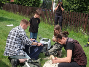 Příprava labutí k transportu z místa nehody