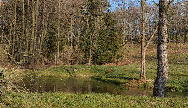 Na Frýdlantsku se brzy zalesknou desítky ok nových tůní a mokřadů