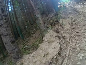 Národní park Šumava uložil Kašperskohorským městským lesům pokutu 1,5 milionu za nešetrnou těžbu dřeva