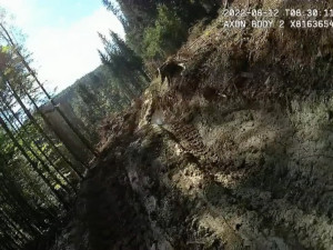 Národní park Šumava uložil Kašperskohorským městským lesům pokutu 1,5 milionu za nešetrnou těžbu dřeva