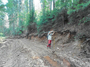 Národní park Šumava uložil Kašperskohorským městským lesům pokutu 1,5 milionu za nešetrnou těžbu dřeva