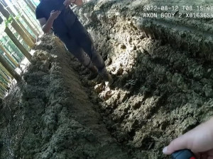 Národní park Šumava uložil Kašperskohorským městským lesům pokutu 1,5 milionu za nešetrnou těžbu dřeva