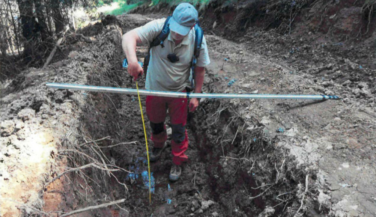 Národní park Šumava uložil Kašperskohorským městským lesům pokutu 1,5 milionu za nešetrnou těžbu dřeva