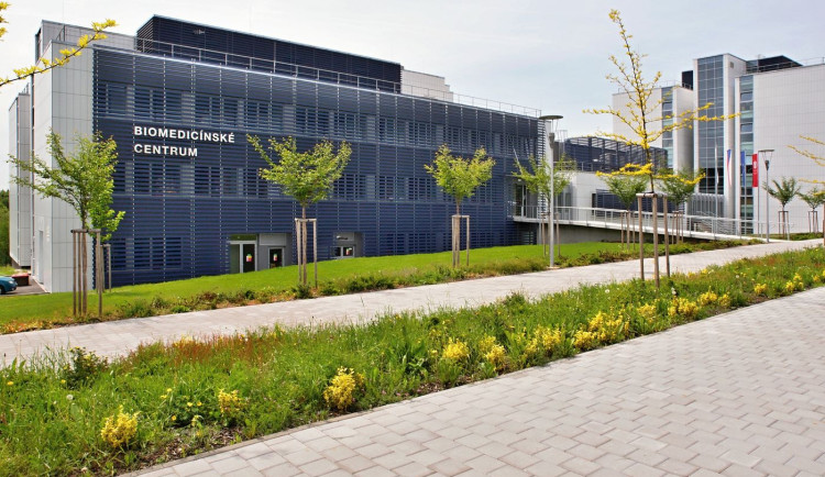 Biomedicínské centru plzeňské lékařské fakulty