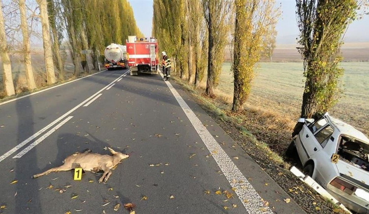 Srážek se zvěří je v našem kraji nejvíc z celé republiky. Pozor u Skalice