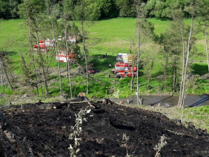 Nedávný požár lesní stráně u Kožlan