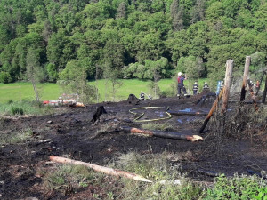 Nedávný požár lesní stráně u Kožlan