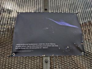 Citace z bakalářské práce se staly také tématem výstavy před Moving Station v rámci festivalu Jeden svět